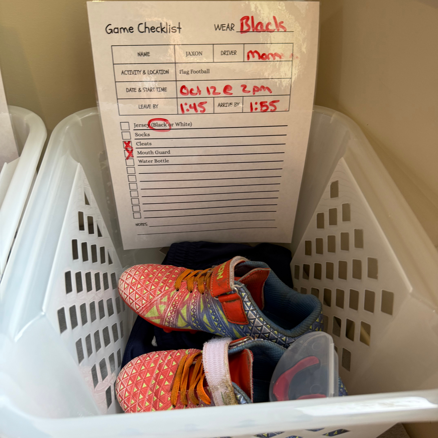 Sports Checklist (Digital Download)